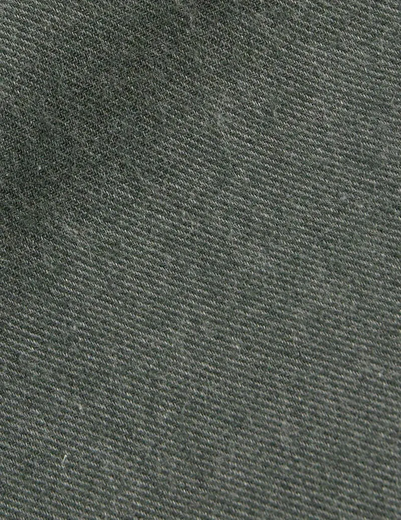 Chemise Aristote en flanelle verte
