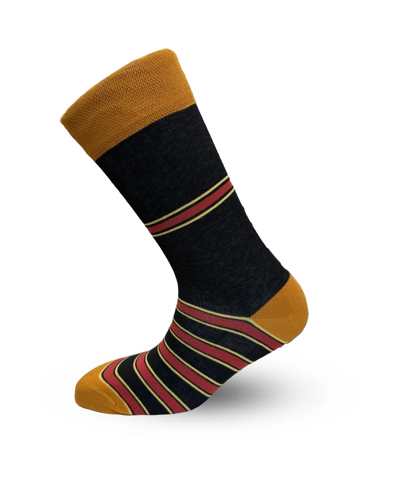 Brave House Lion Crest Socks