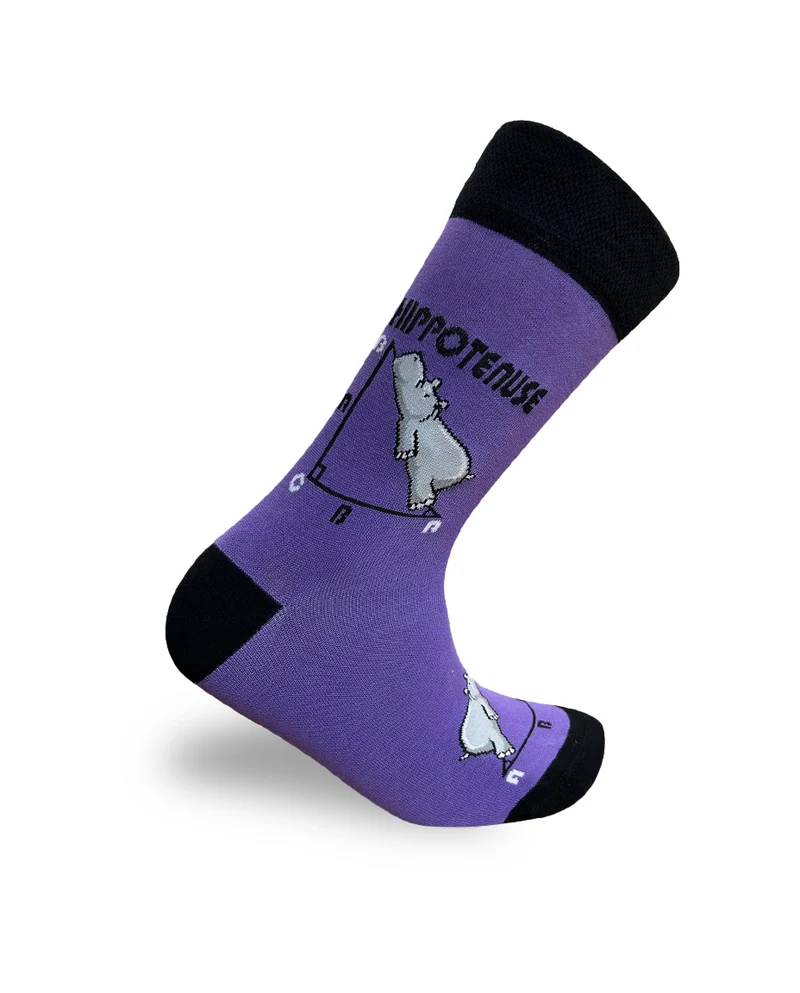 Hippotenuse Purple Socks Geometric Math Style