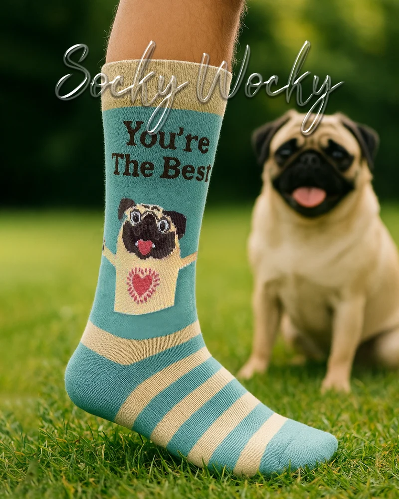You're the Best Socks Cute Pug Gift Appreciation Edition