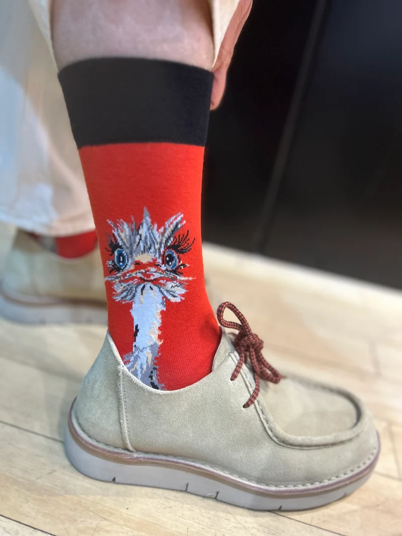 Ostrich Socks Safari Bird Series