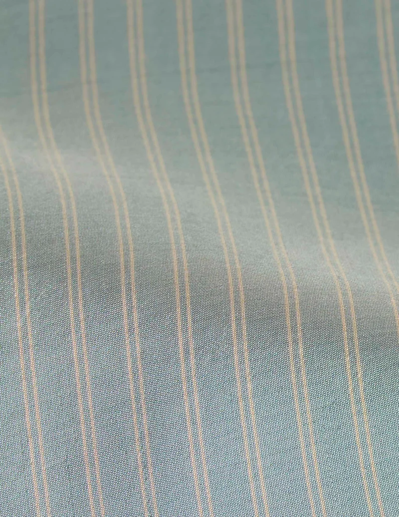 Chemise Pétale bleu rayée