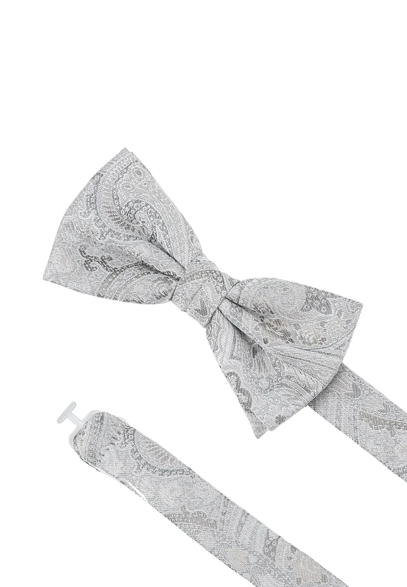 Hochzeitsfliege Einstecktuch Set Herren aus Seide – Paisley