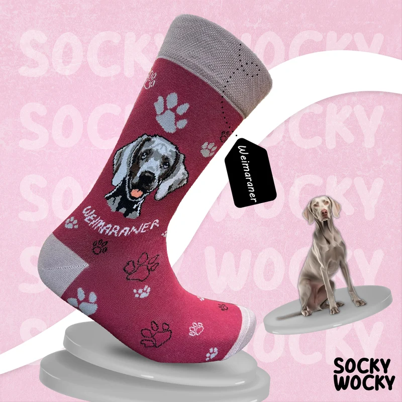 Weimaraner Socks Dog Breed Series