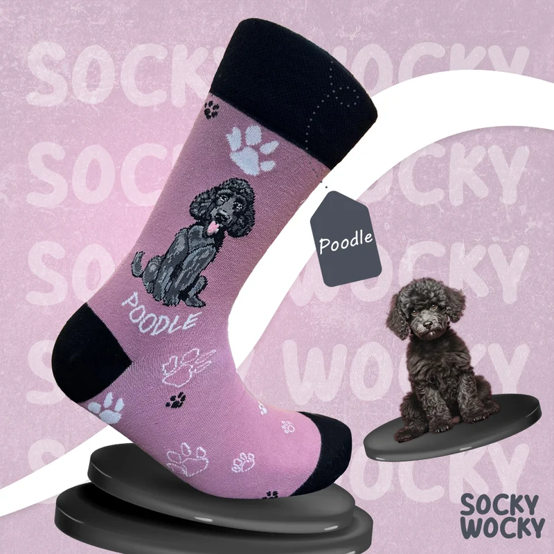 Black Poodle Socks Elegant Dog Series