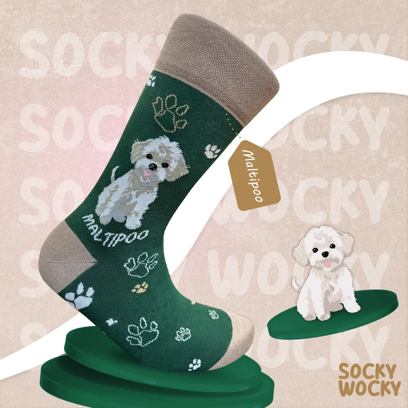 Maltipoo Socks Designer Dog Edition