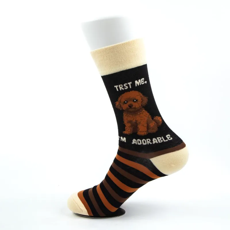 ⁠Bolonka Socks Small Dog Breed Series