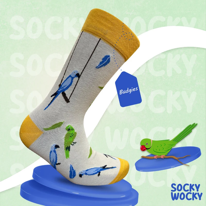 Bird Budgies Socks Small Bird Series
