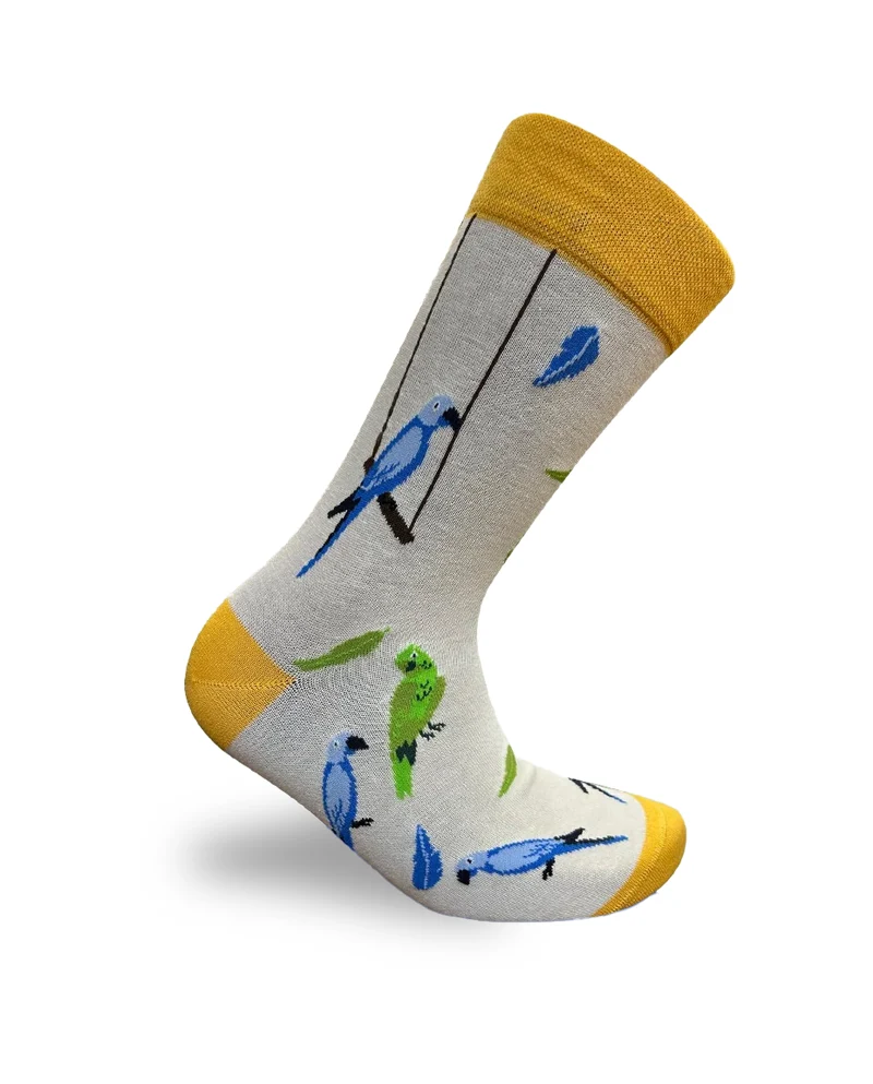 Bird Budgies Socks Small Bird Series