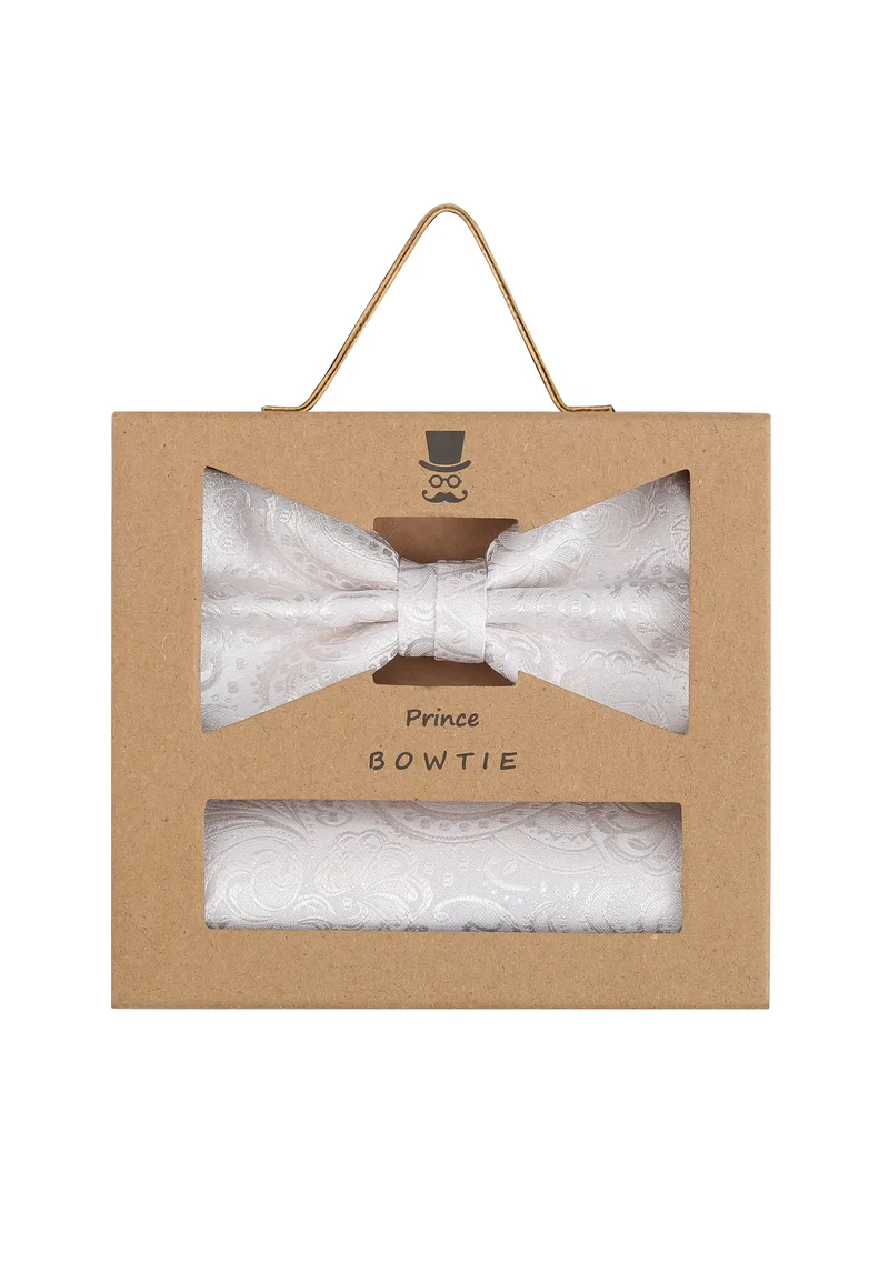 Fliege Einstecktuch Set Herren aus Seide – Paisley
