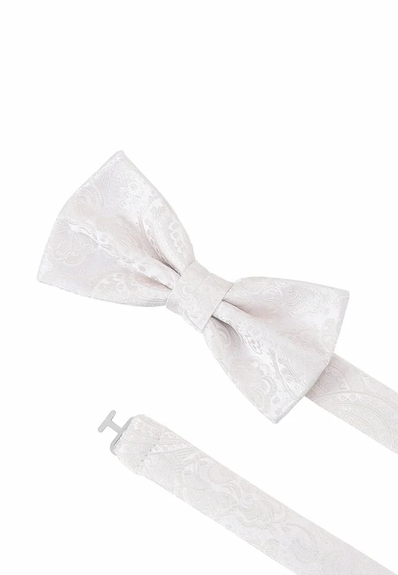 Fliege Einstecktuch Set Herren aus Seide – Paisley