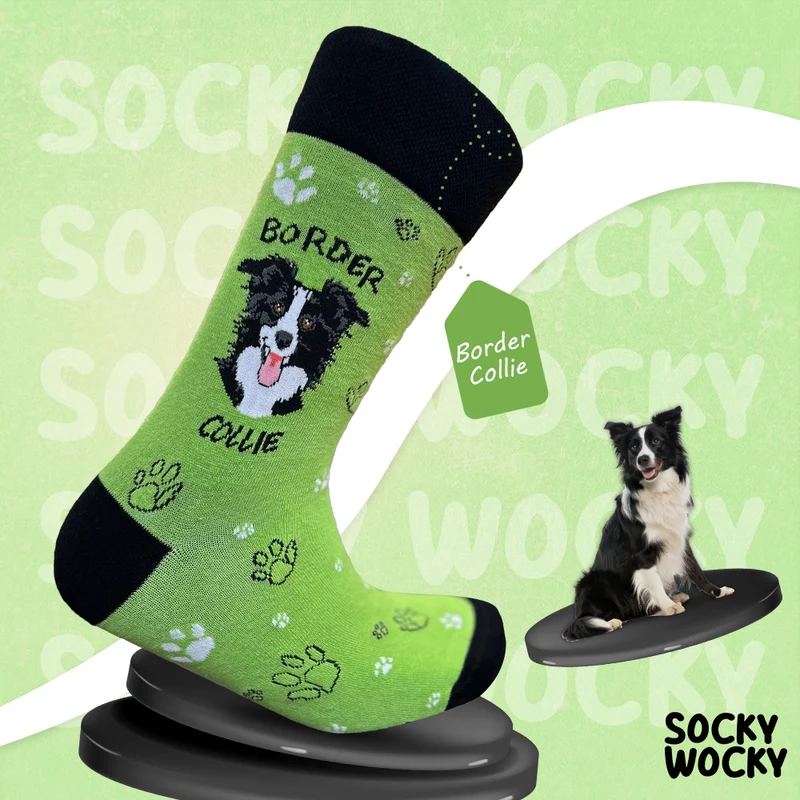 Border Collie Socks Intelligent Dog Line