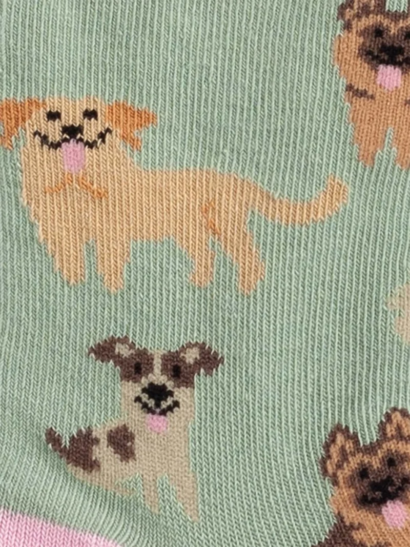 Lil Doggy Dog