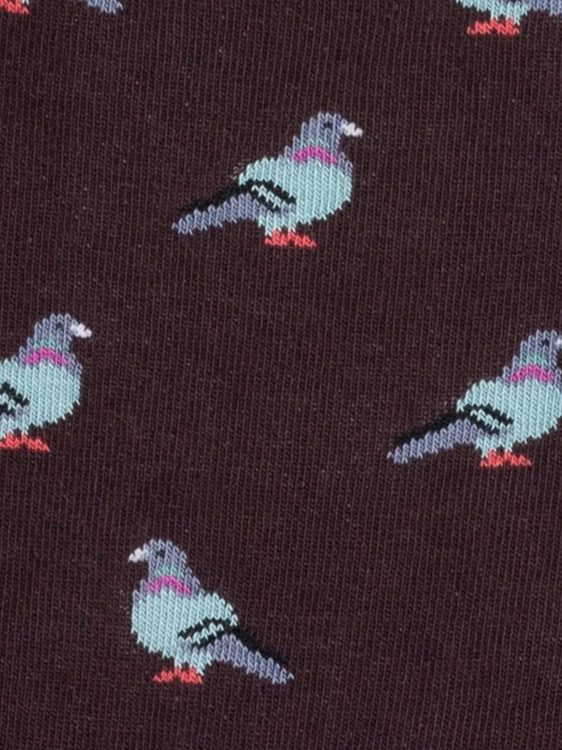 Pigeon Flight