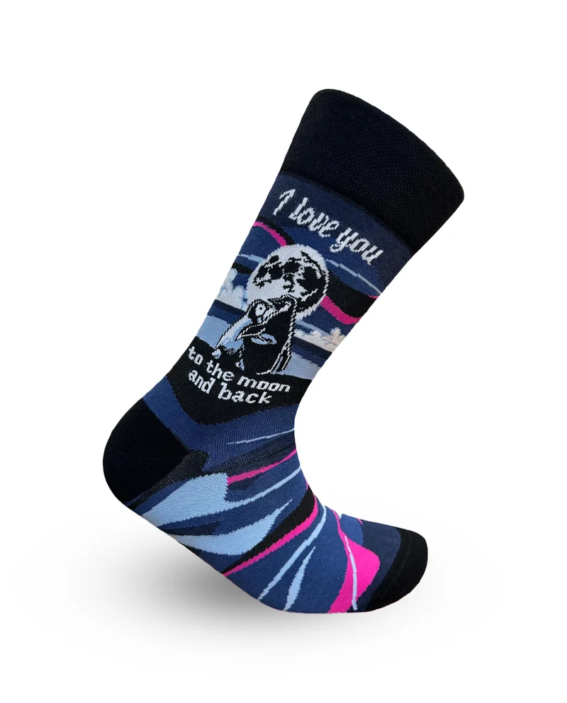 I Love You to The Moon And Back Socks Love Gift Series