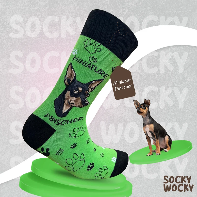 Miniature Pinscher Socks Small Dog Series
