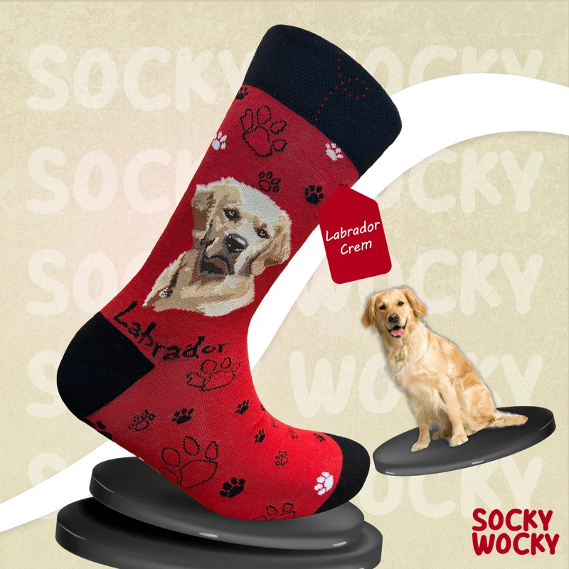 Labrador Cream Socks Dog Breed Series