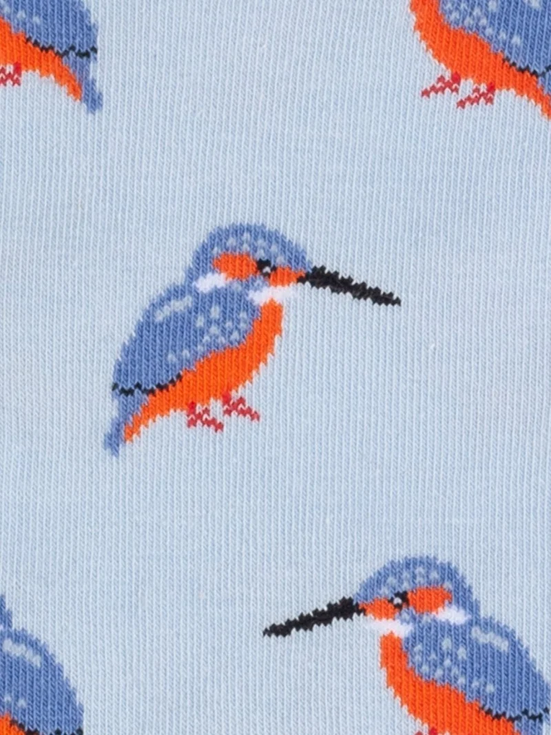 Blue Kingfisher