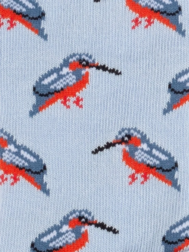 Lil Blue Kingfisher