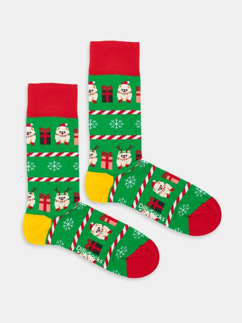 Festive Pomeranian
