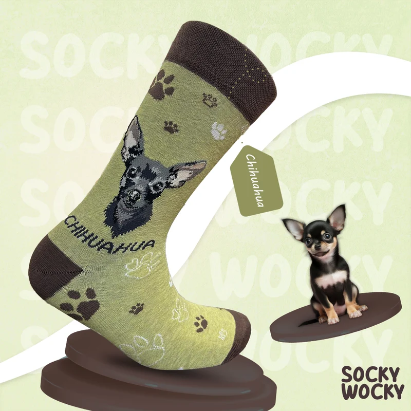 Chihuahua Black Socks Small Dog Edition