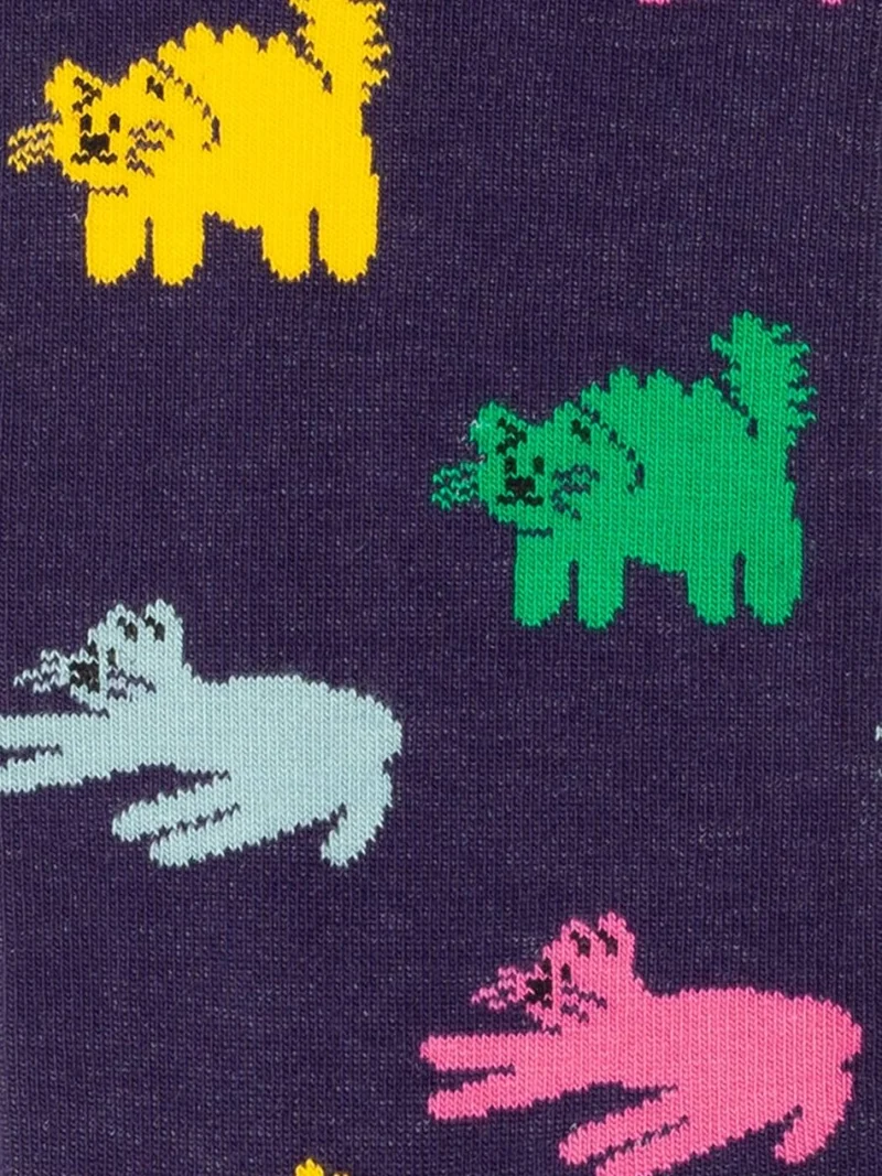 Colorful Cats