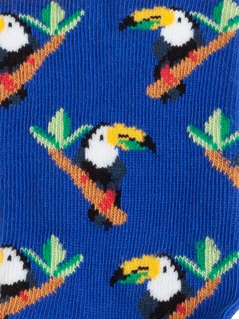 Lil Tropical Toucan