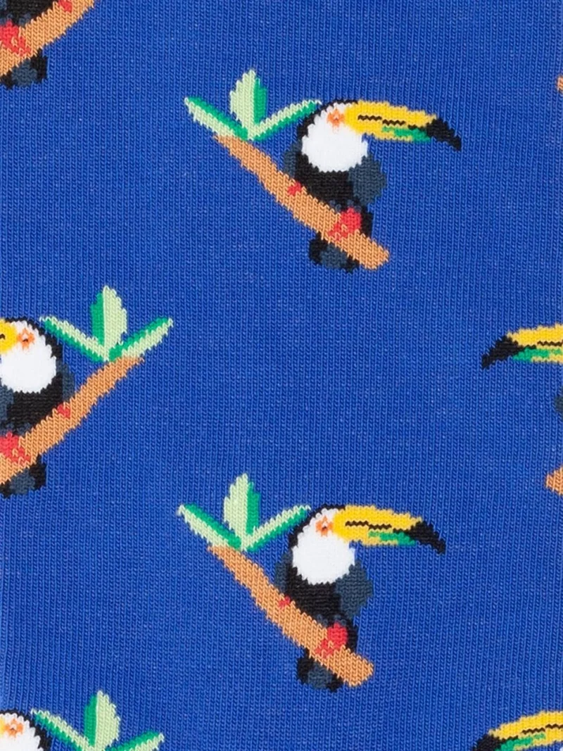 Tropical Toucan