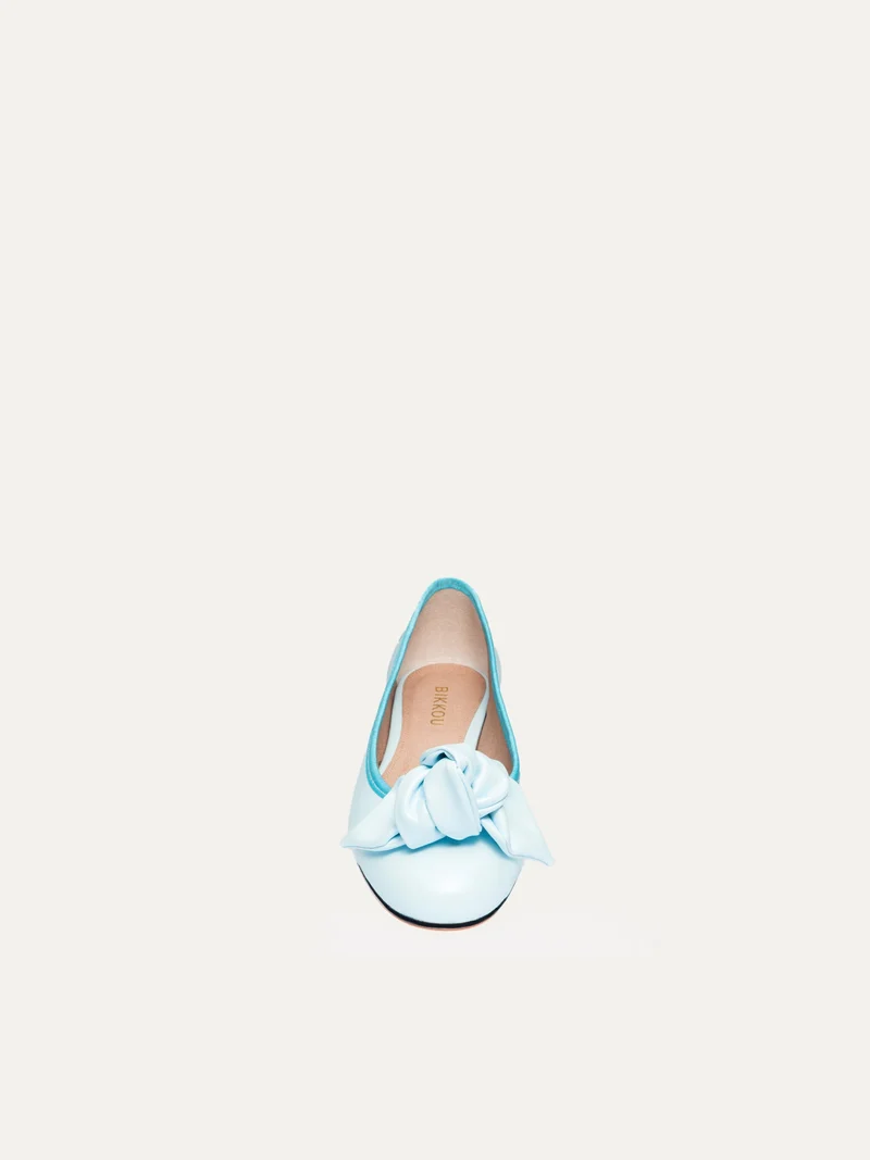 Ballerinas 9:30AM HEARING IN COURT - Bleu Opalin