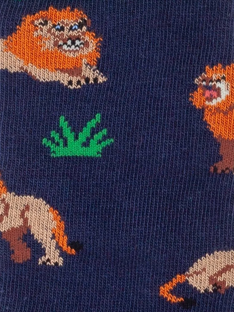 Lil Panthera Löwe