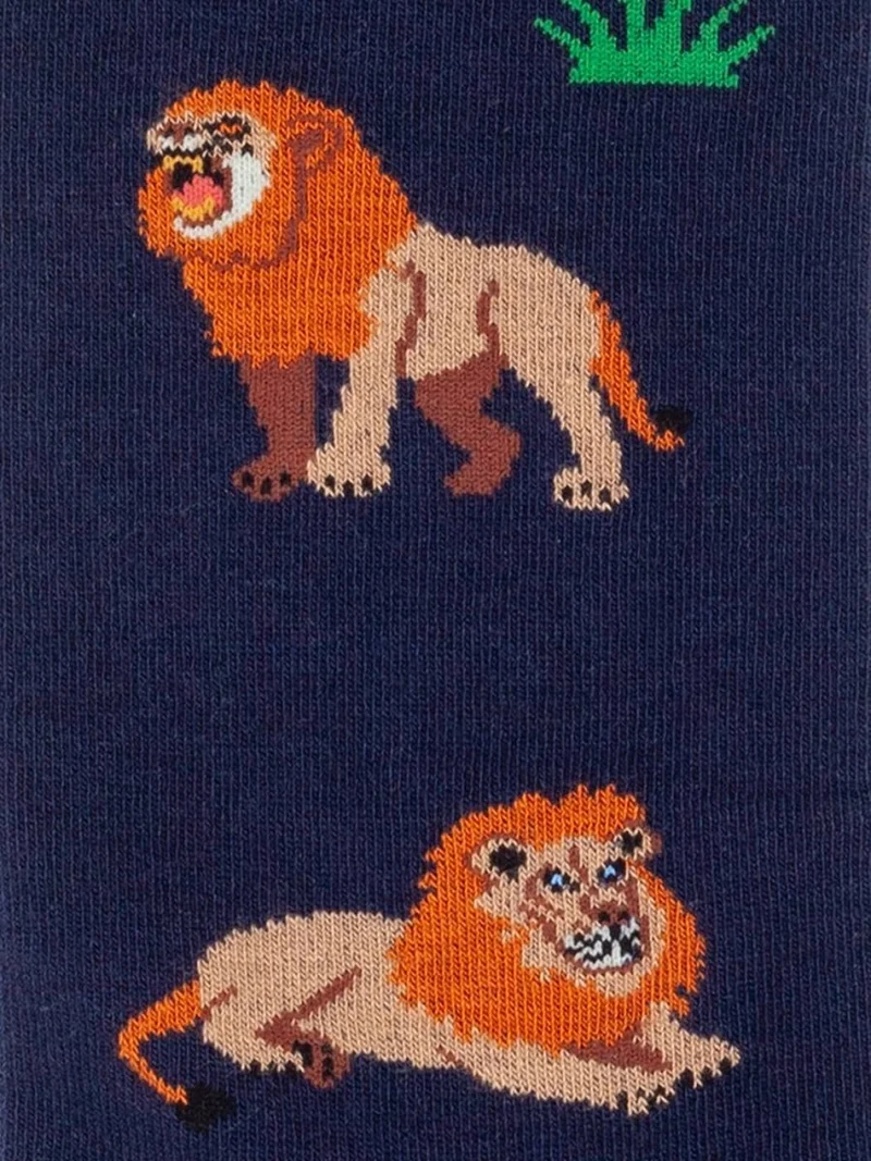 Panthera Löwe