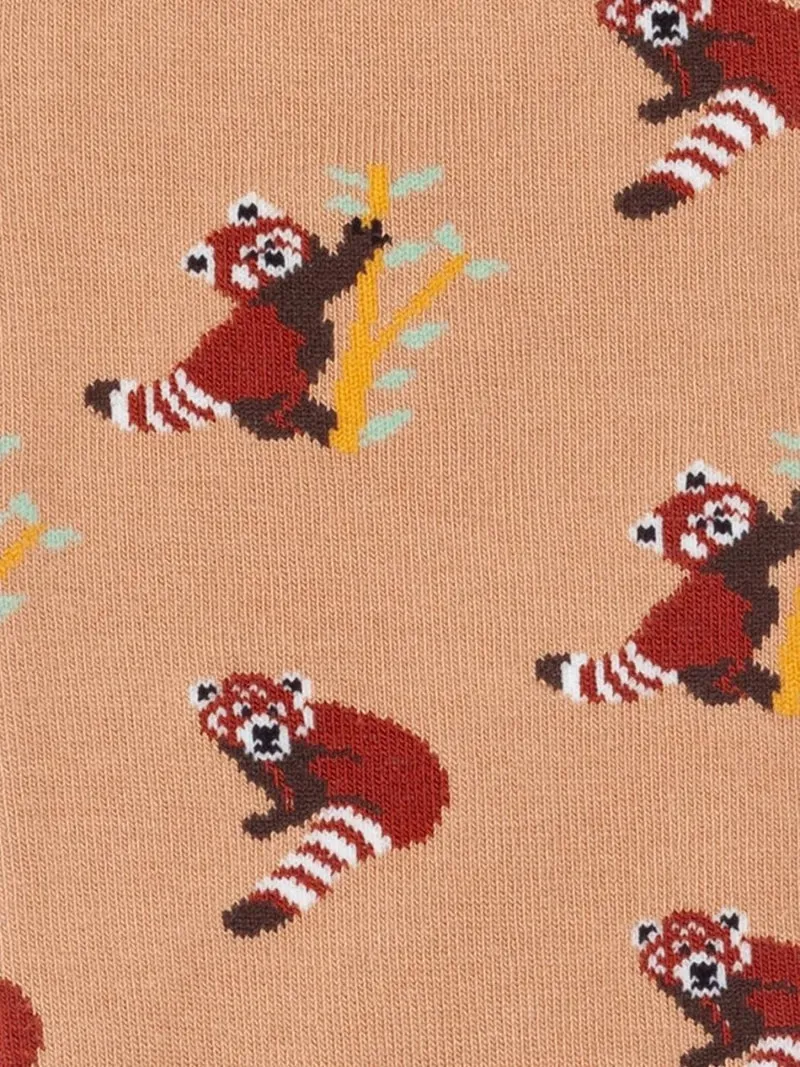 Panthera Roter Panda