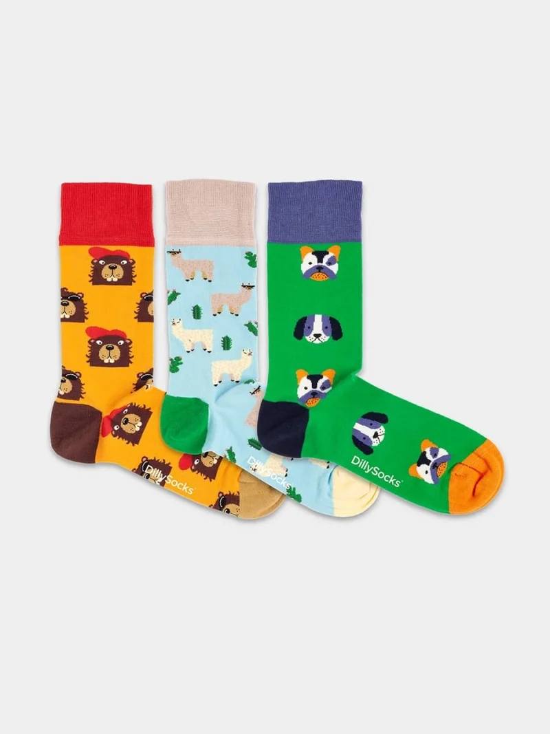 Paws & Friends (3er Box)