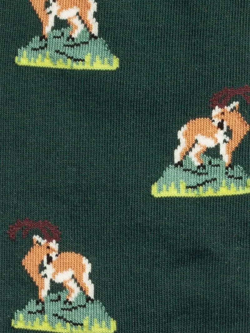 Capricorn Climb