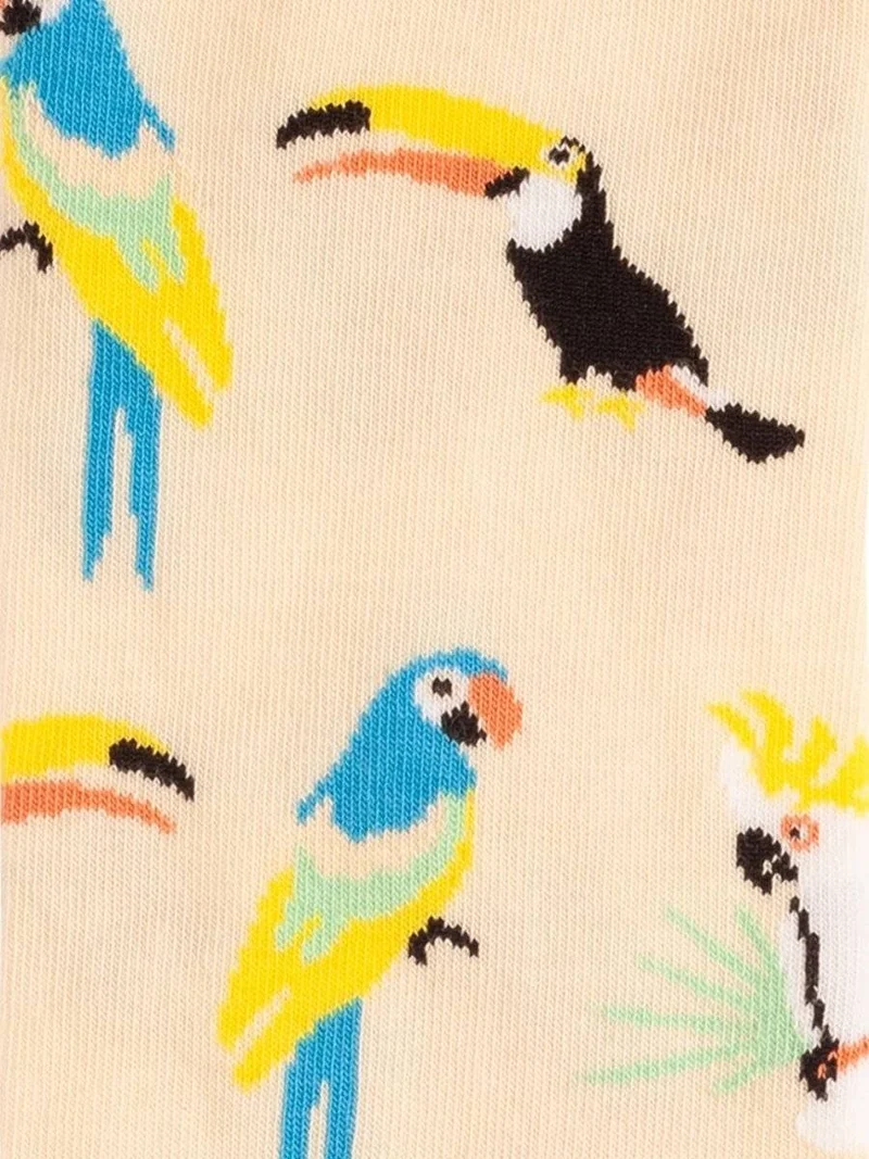 Sand Aviary