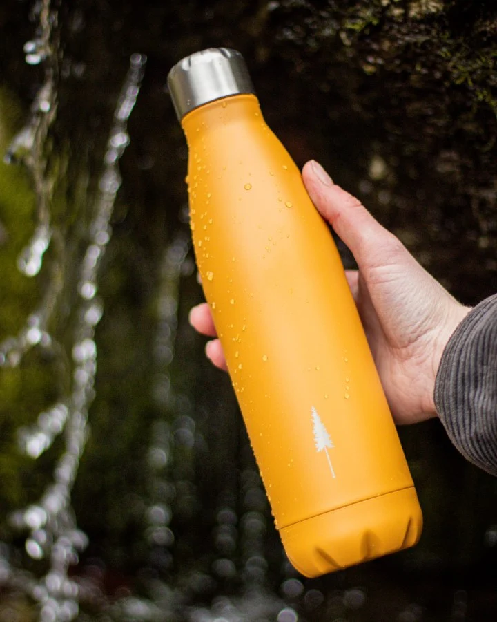 TreeBottle Mustard