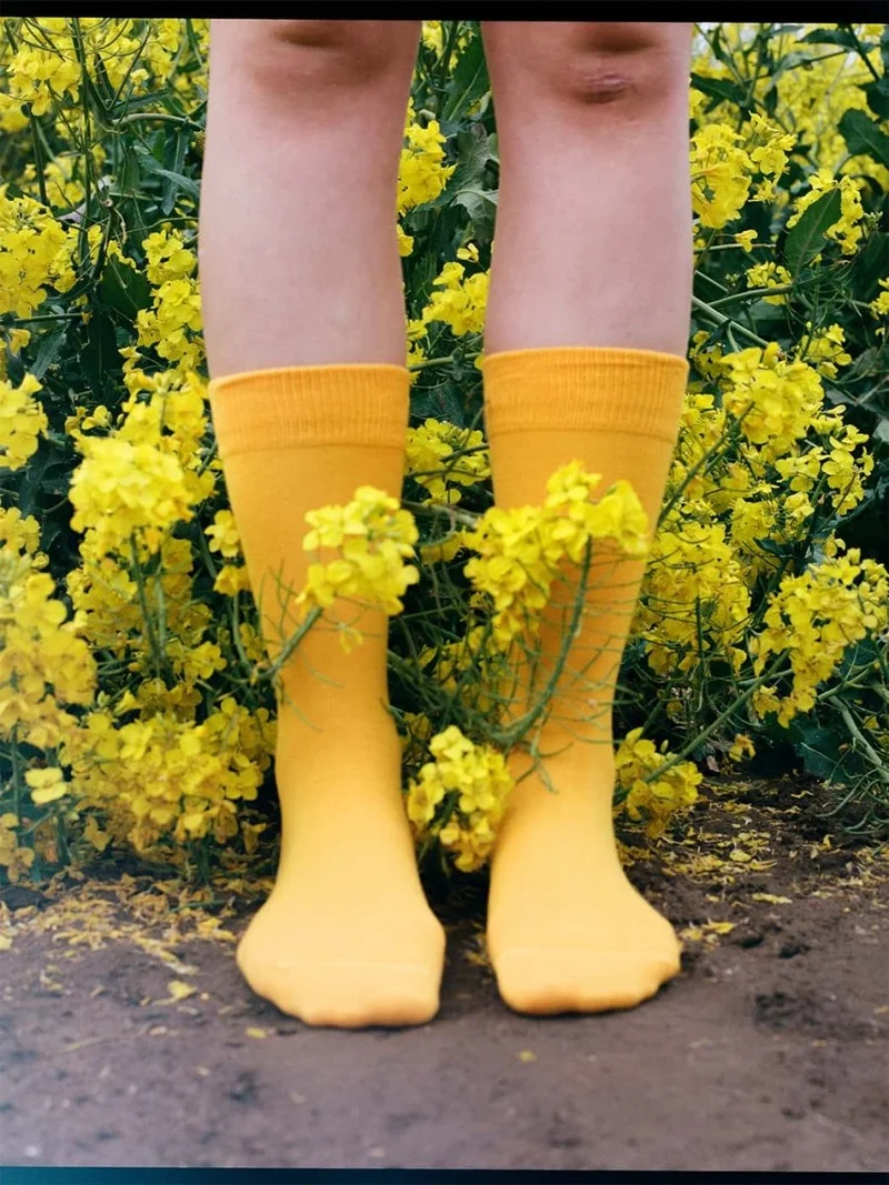 D-Compose Sunny Yellow (2er Pack)