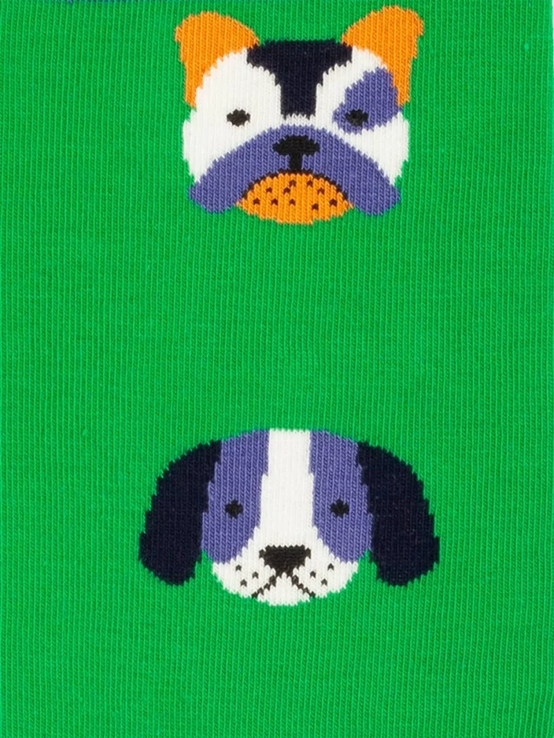 Short Dog Portraits