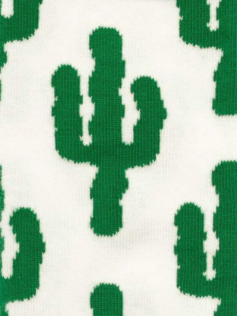 Short Desert Plants