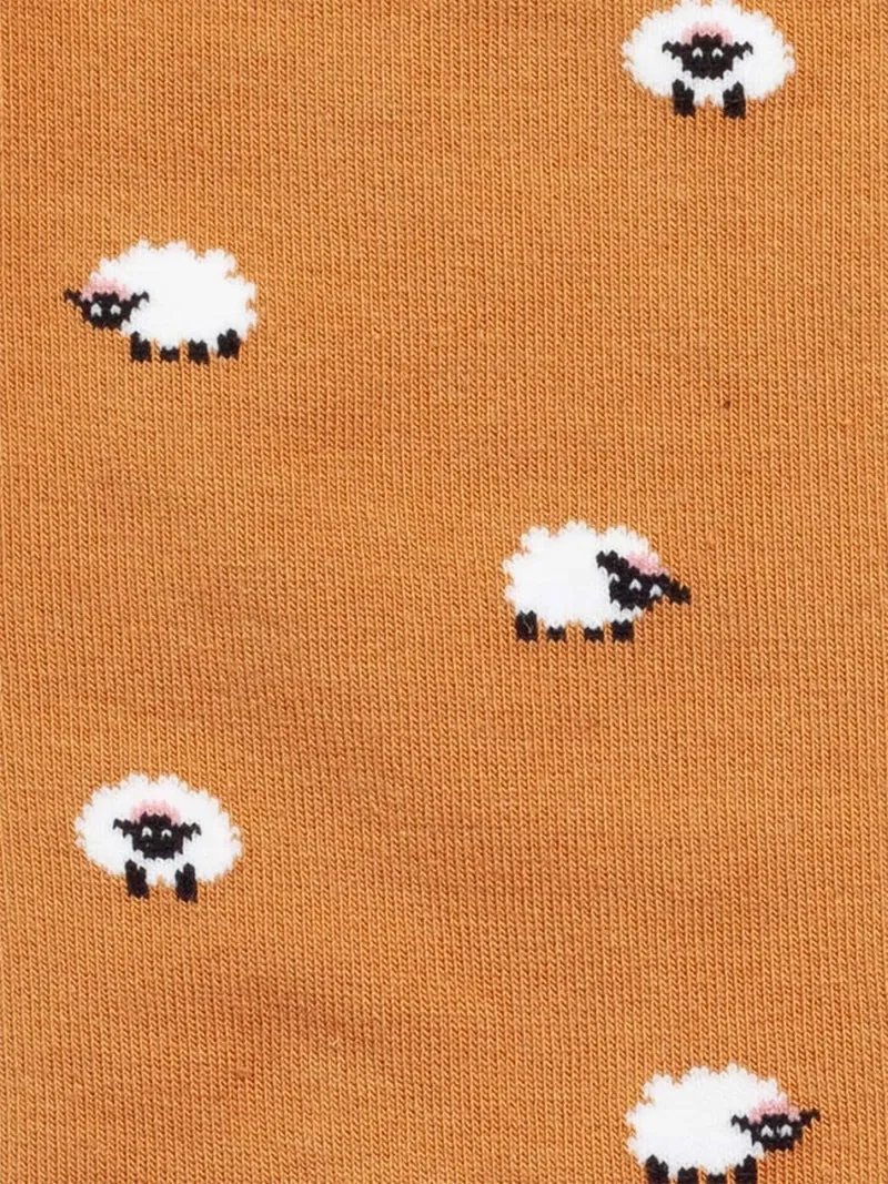 Count my Sheeps
