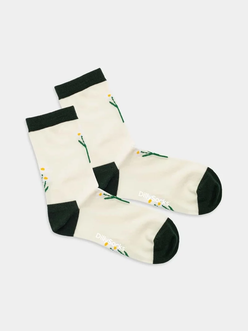 Delighted Daisies
