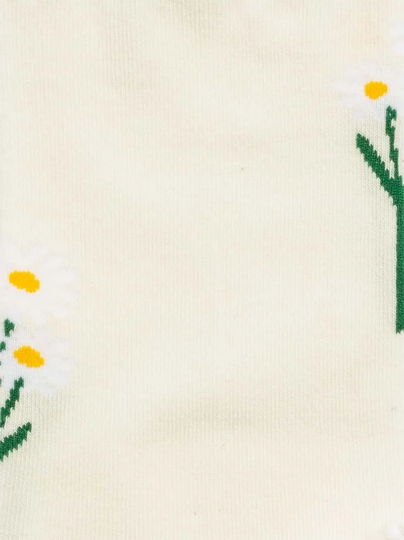 Delighted Daisies