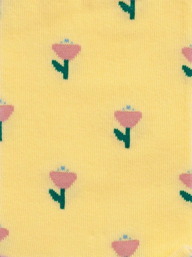 Yellow Field of Flowers