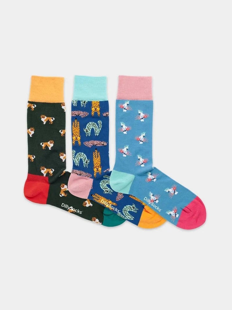 Pet Trio (3er Box)