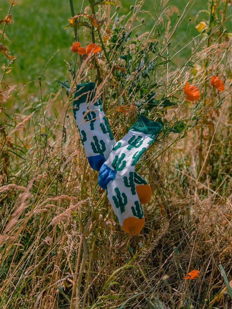 Desert Plants