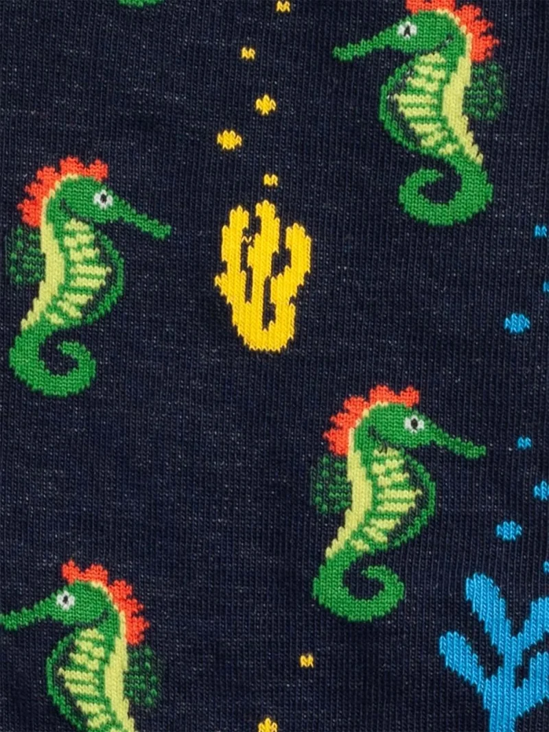 Seahorse Story