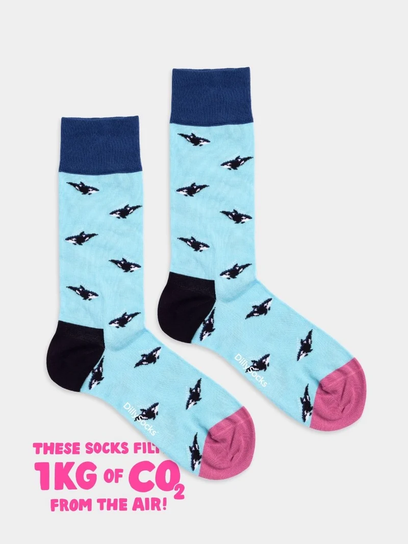 Orca Fever