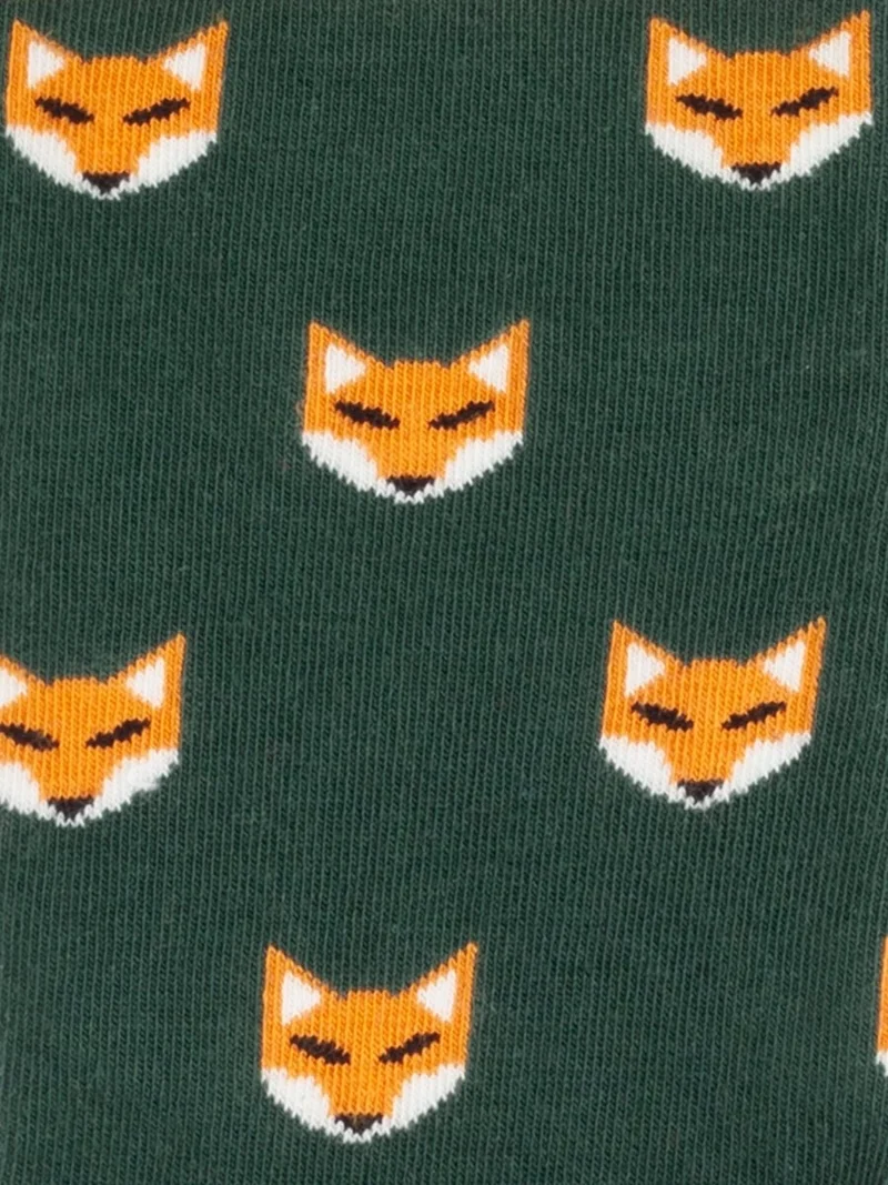 Fossiled Fox