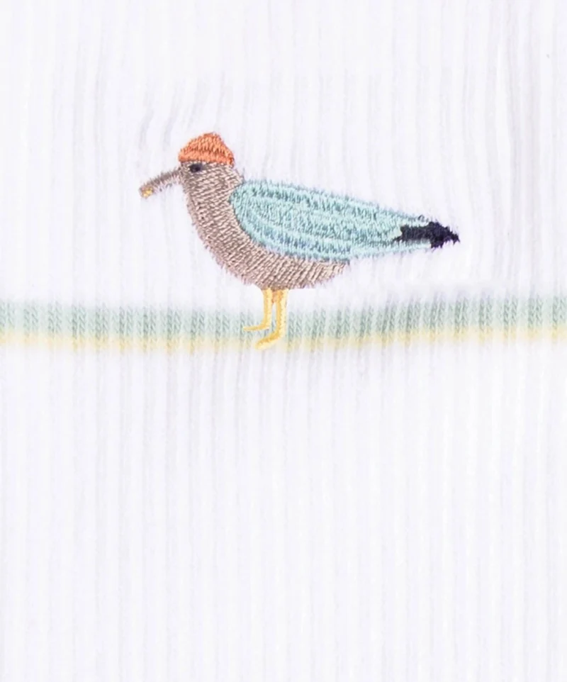 Aksel the gull
