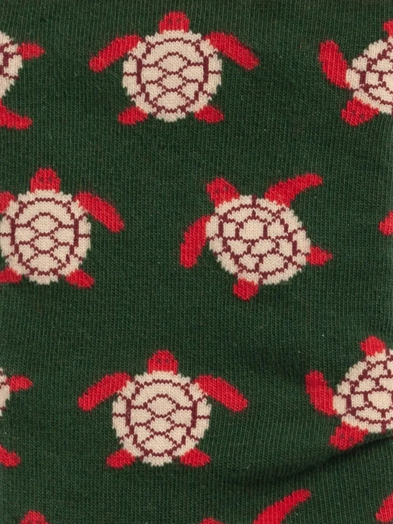 Turtle Love